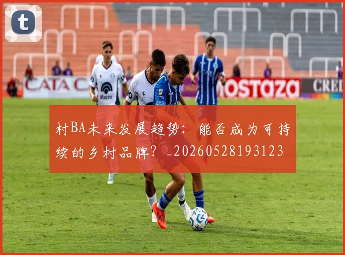 村BA未来发展趋势：能否成为可持续的乡村品牌？_20260528193123